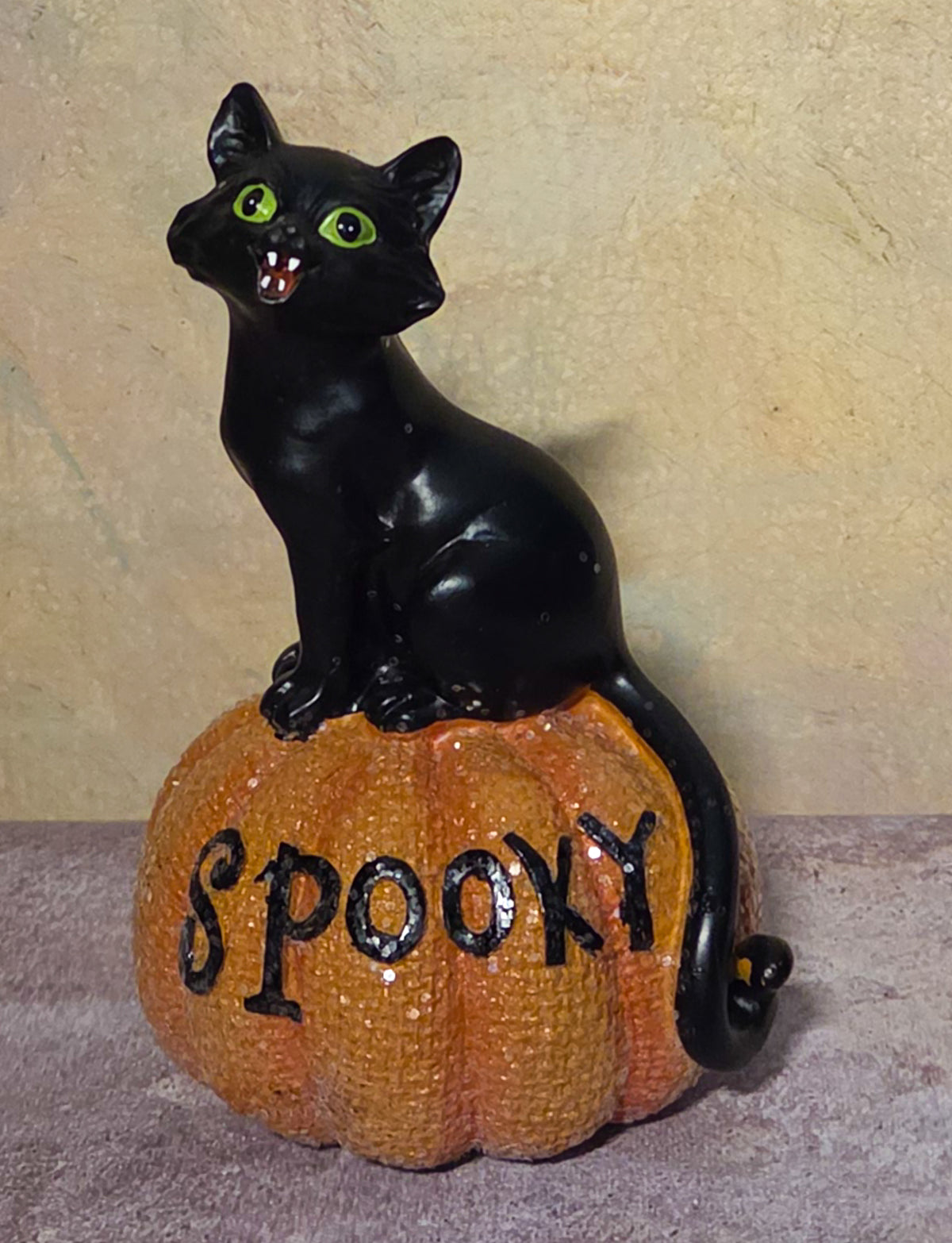 Sitting black cat with green eyes and a curled tail displayed on a round orange pumpkin labeled “Spooky.”