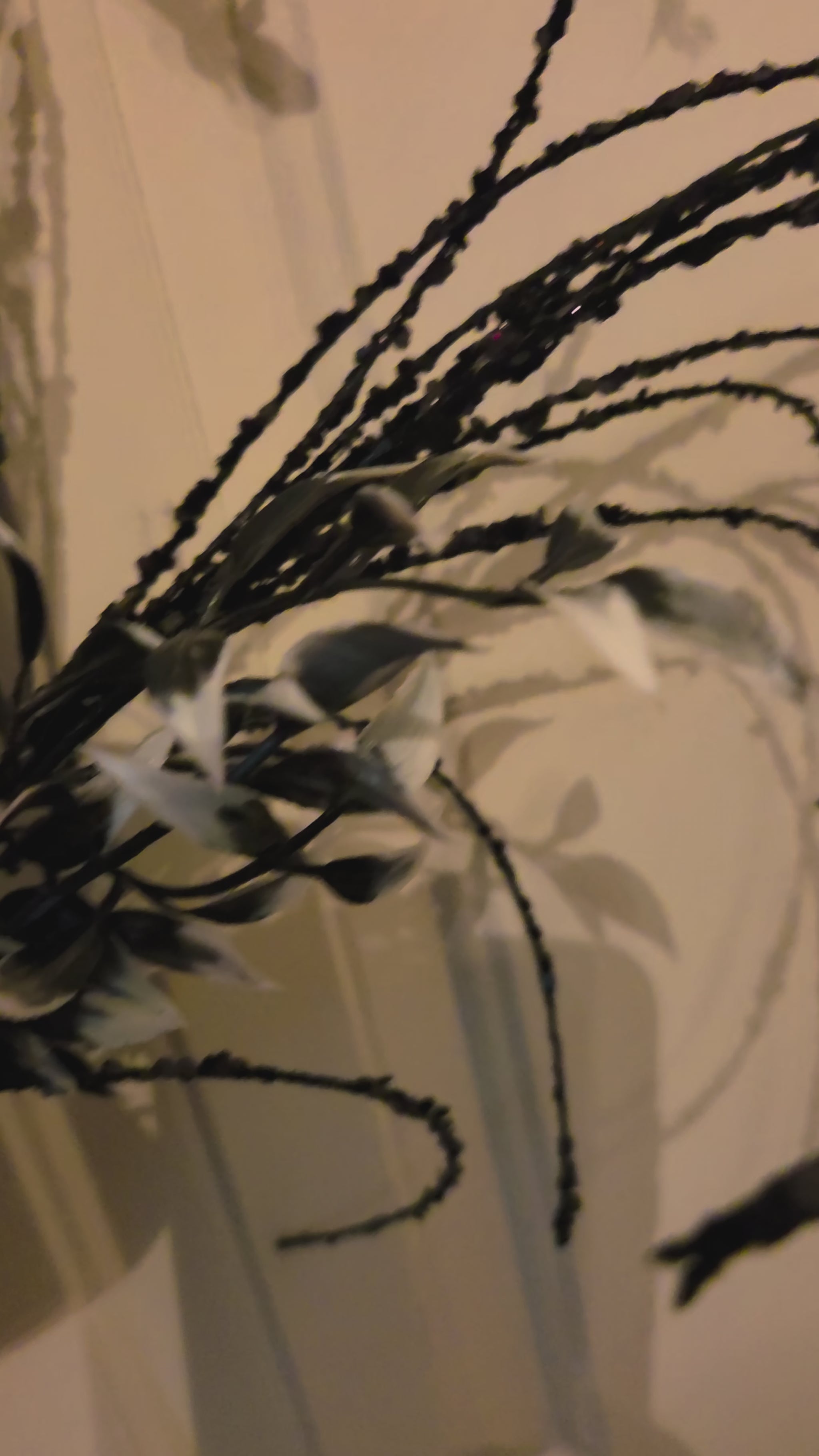 Video showcasing the full oval moss Halloween wreath and close-up details of its ravens, patterned bow, candy accents, foliage, sprays, and Happy Halloween banner.